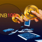 BNB100X